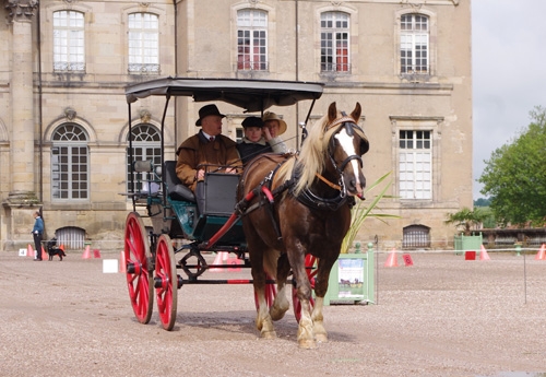 rencontres équestres lunéville