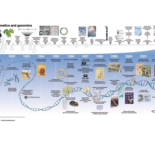 Ce calendrier, issu de la National Human Genome Research Institute, place le projet de recherche du génome humain dans sa genèse : c’est en 1865 que Mendel découvre les Lois de la Génétique; entre 1865 et 2003, de nombreuses découvertes se succèdent,