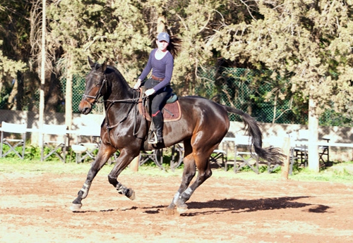 Emma, fille de Françoise, monte en compétition