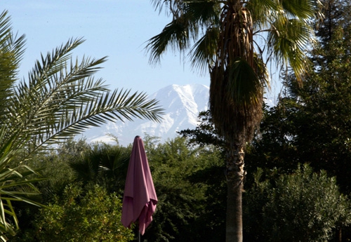 Verdure et morceau d'Atlas en filigrane