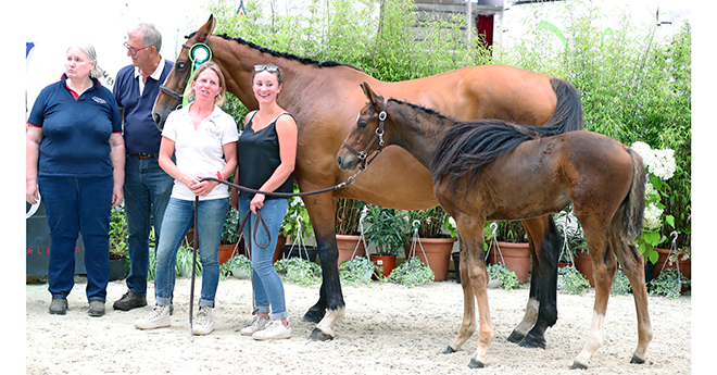 O'Sarah d'Audouville, 2e des femelles jeunes